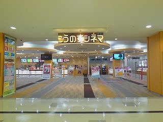 307679449